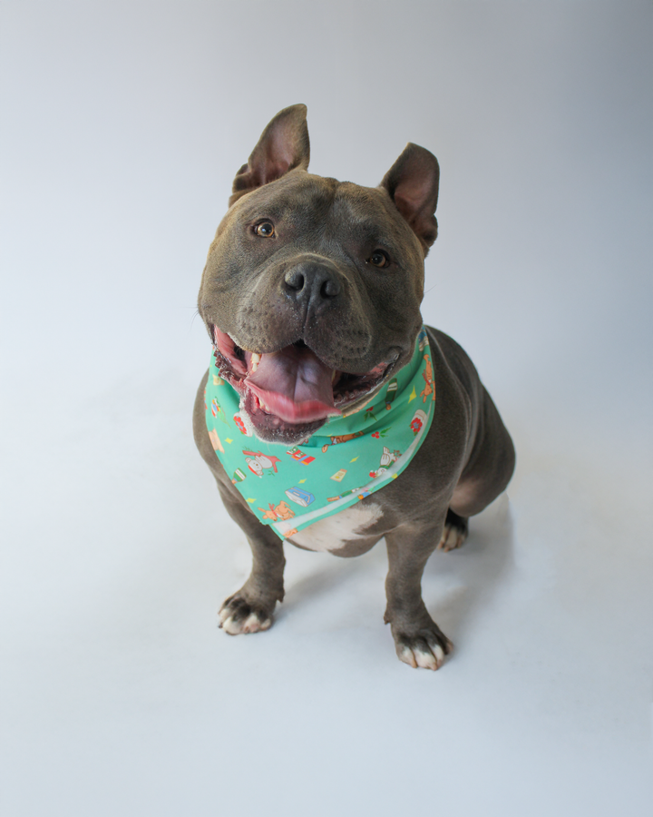 MERRY MINT GREEN PET BANDANNA