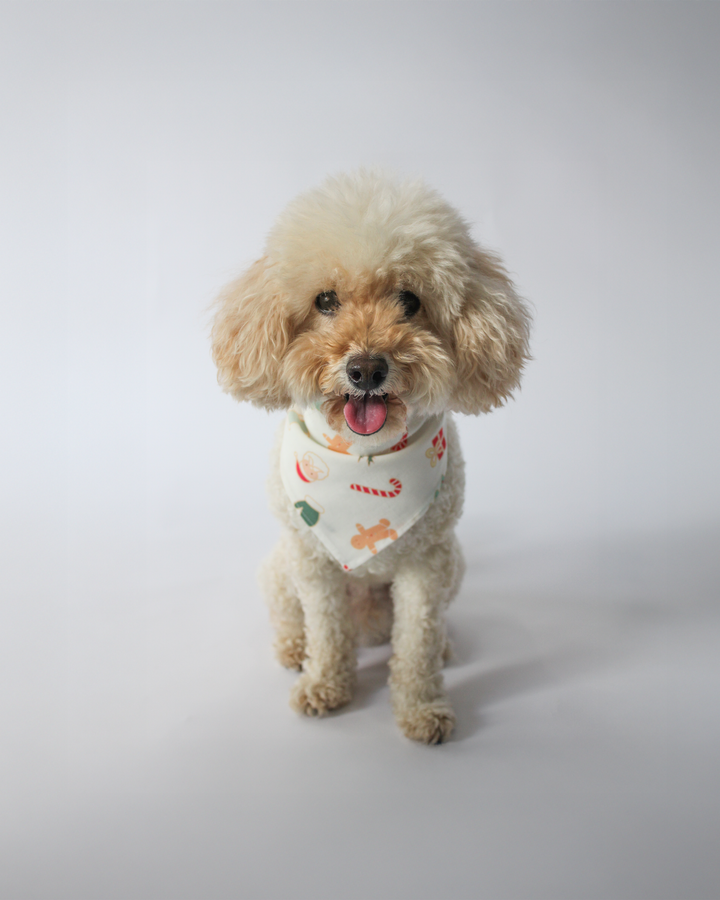 FROSTY WHITE PET BANDANNA