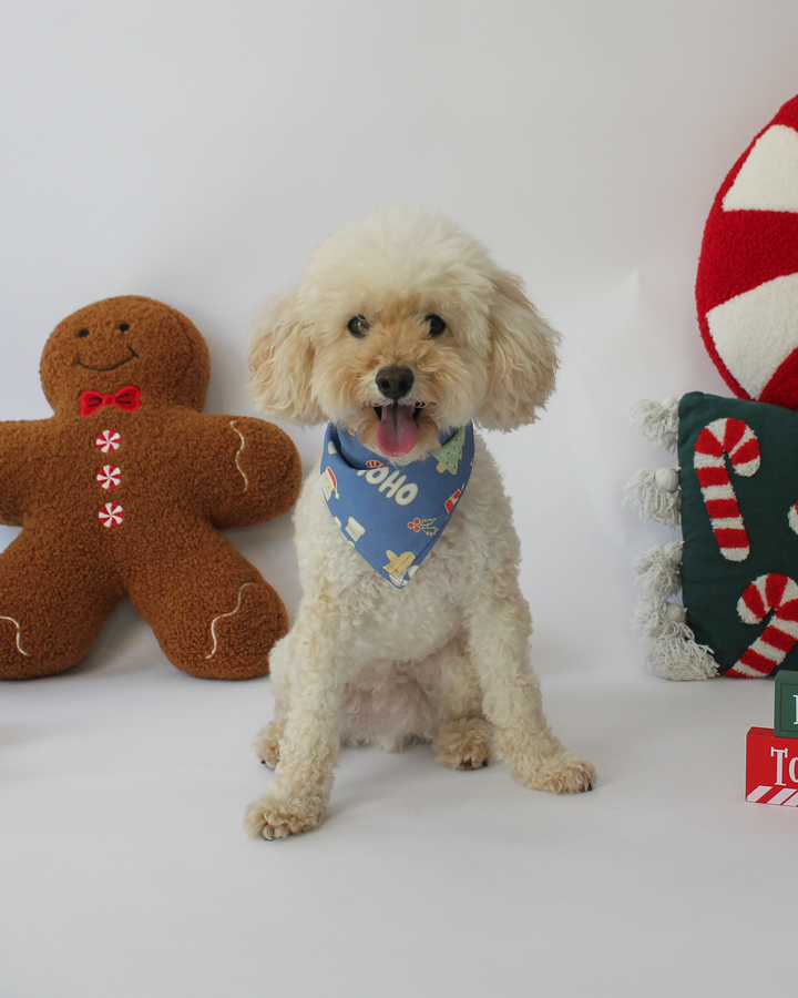 JOLLY BLUE PET BANDANNA