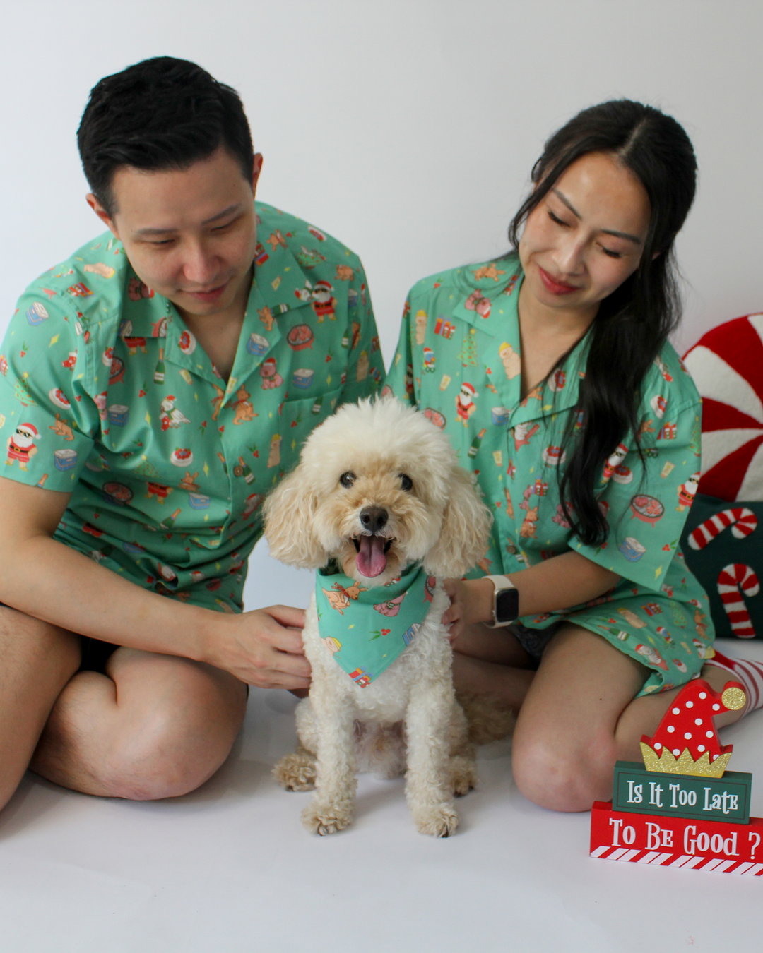 MERRY MINT GREEN PET BANDANNA