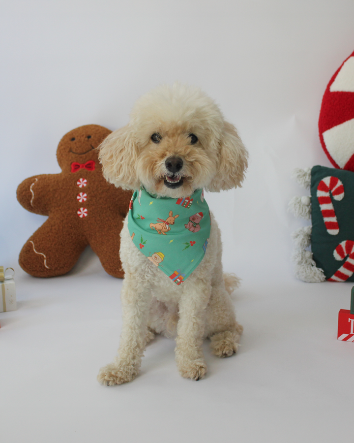 MERRY MINT GREEN PET BANDANNA